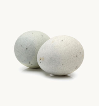 Duck Egg